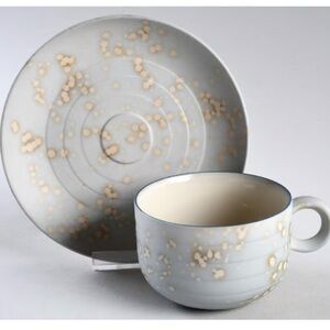 Cirrus flat cup and saucer  Hornsea Pottery